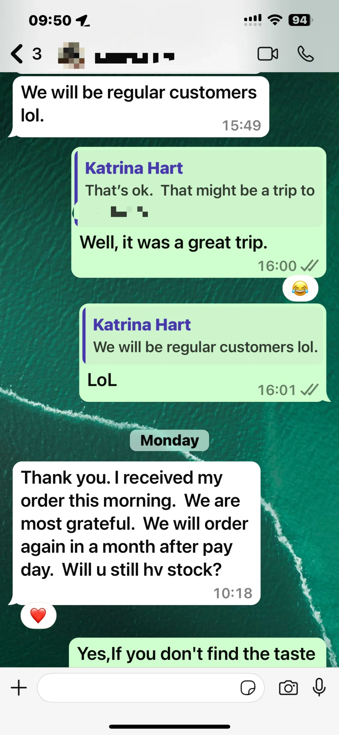 Customer review image 2